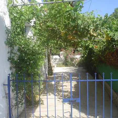 Irenulla * Ποσειδωνία